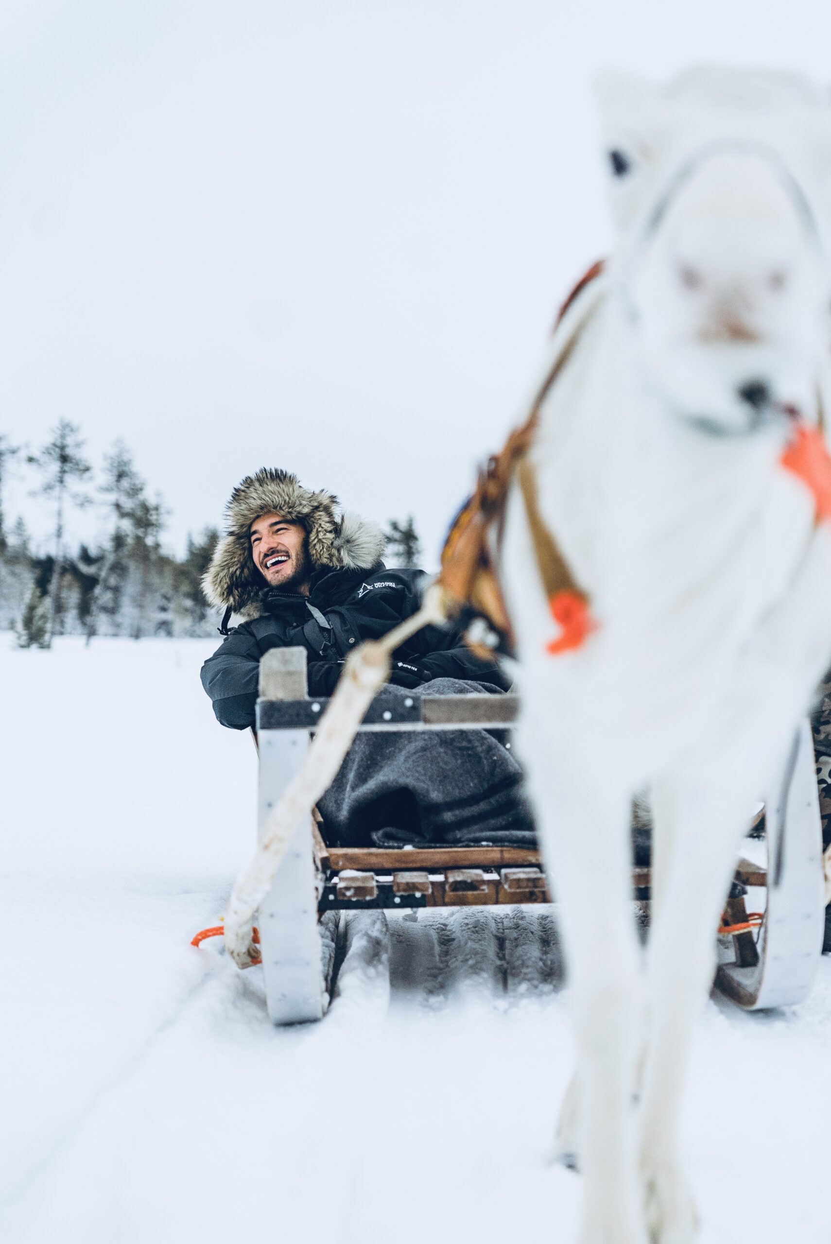 Reindeer Ride in the Wilderness