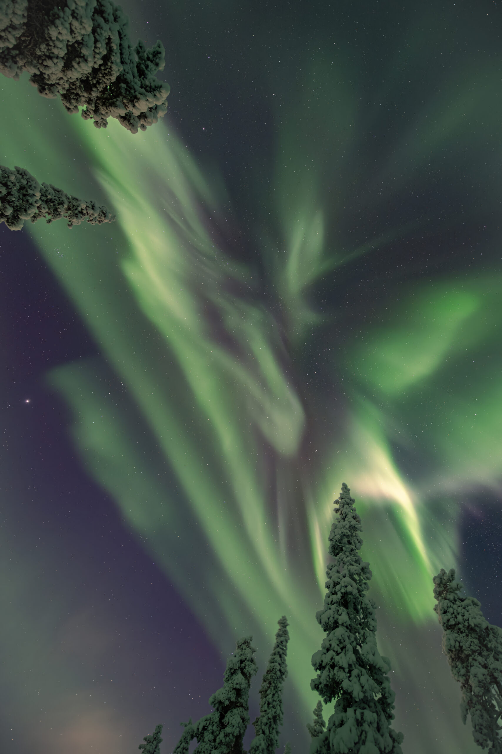 Northern Lights Snowmobile Tour to Fell Särkitunturi