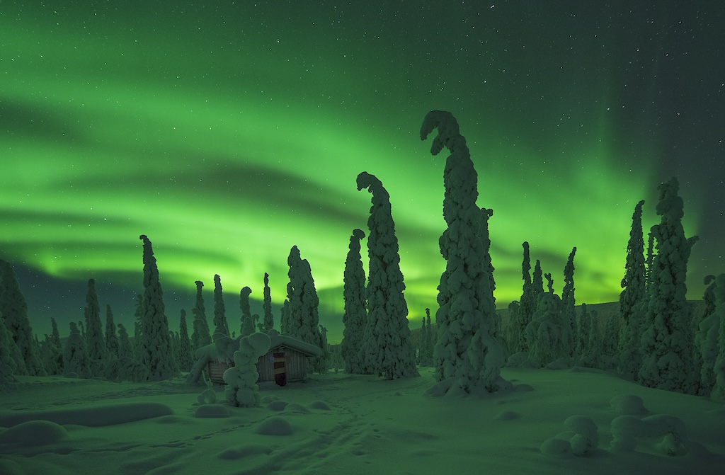 Aurora Snowmobile Tour