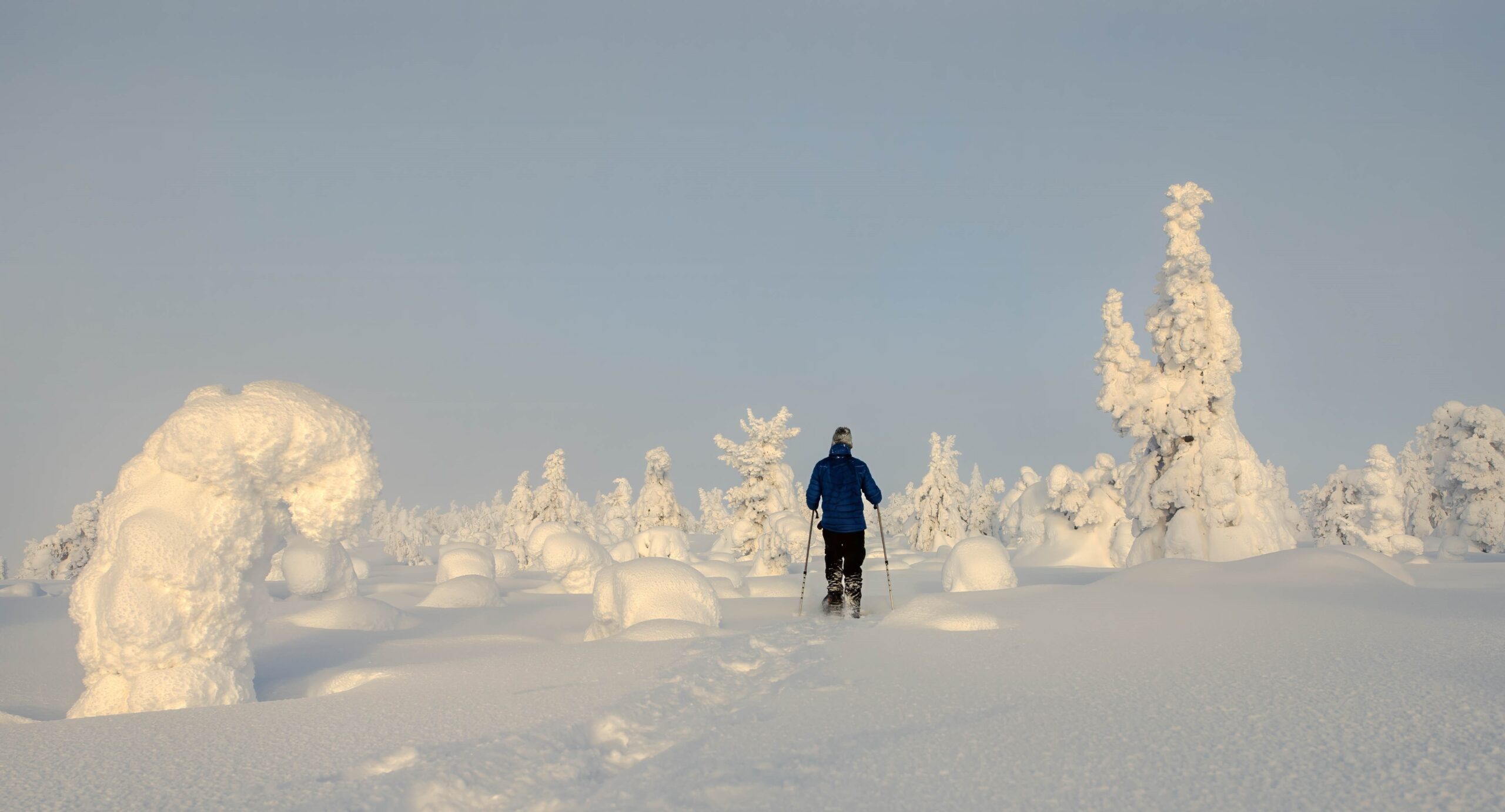 Scenic Snowshoe Trek to Fell Nivunki
