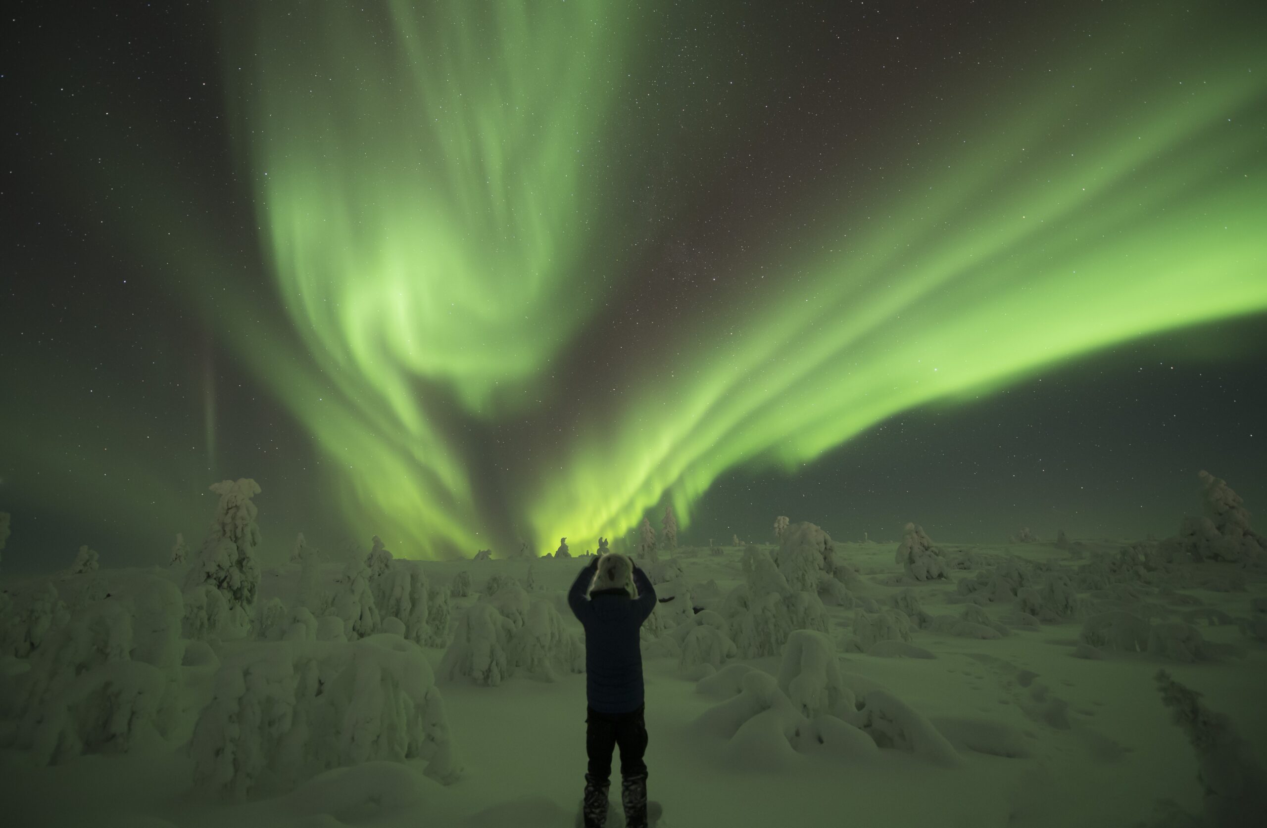 Aurora Trek in Nivunki