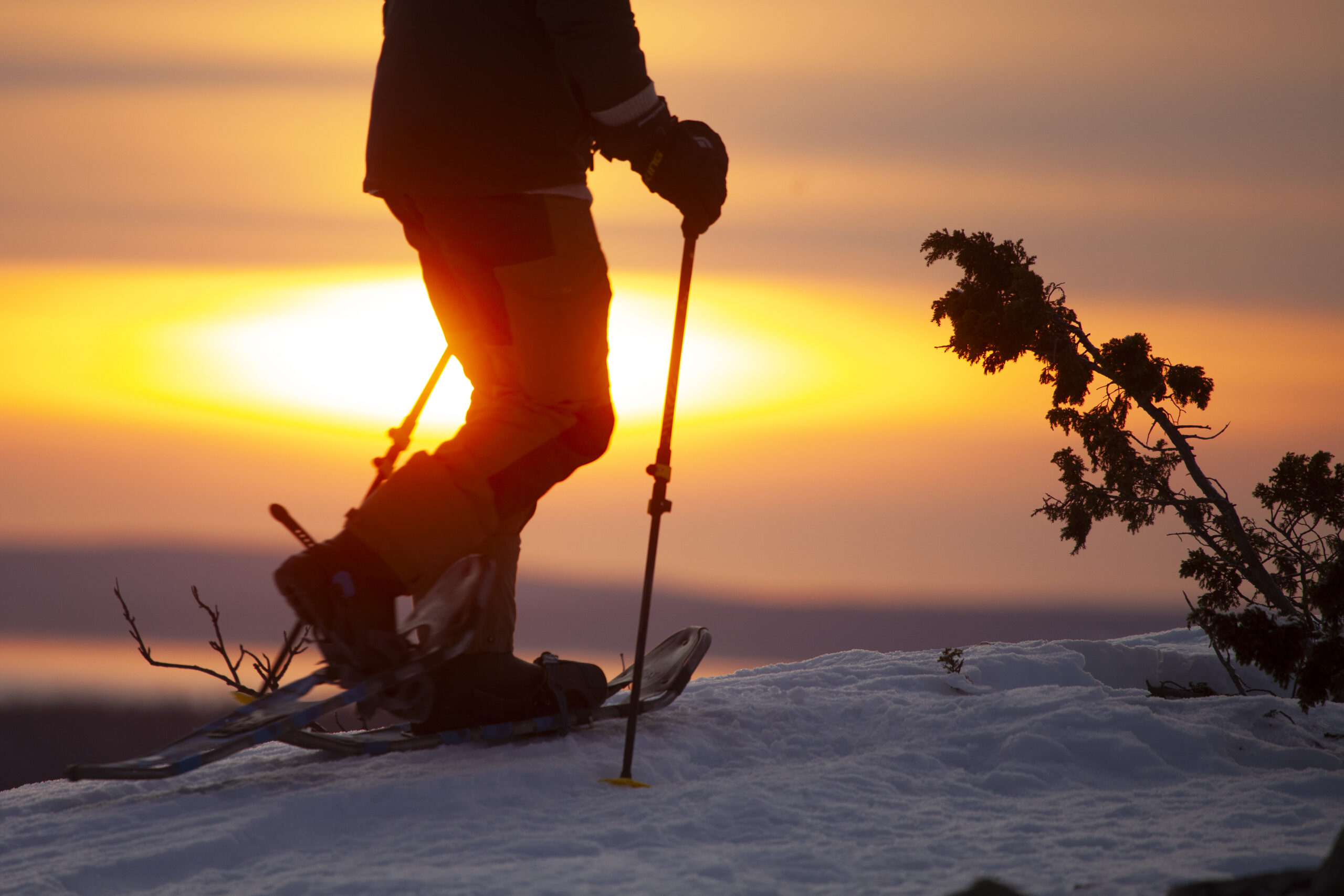 Nivunki Winter Wonders