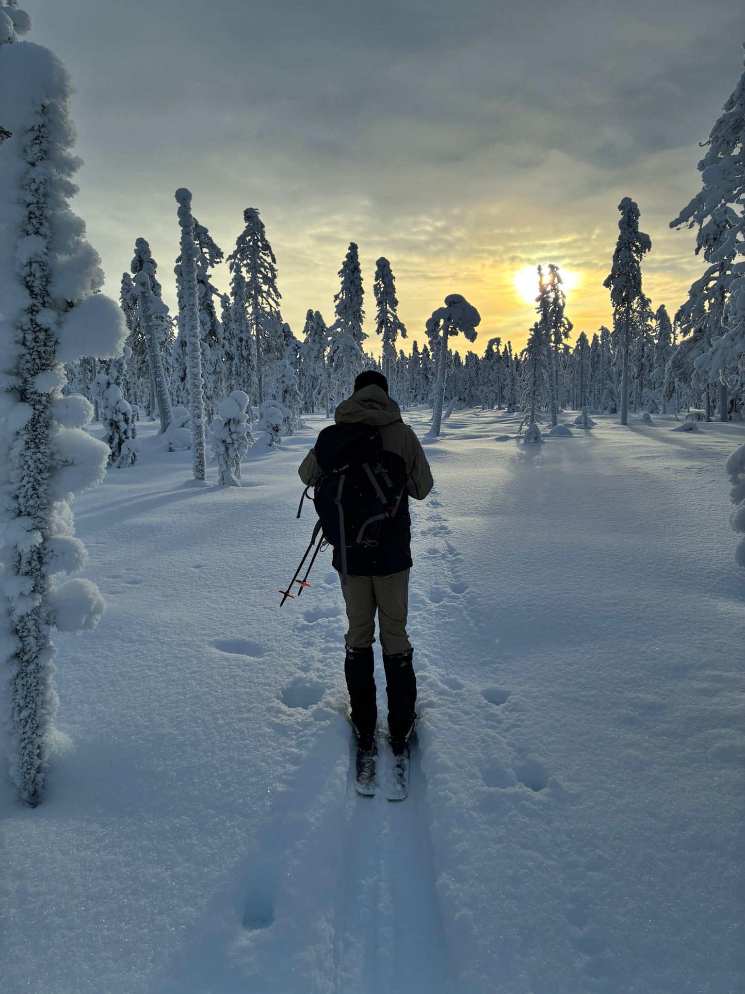The Väärti Trail – Forest Ski Experience